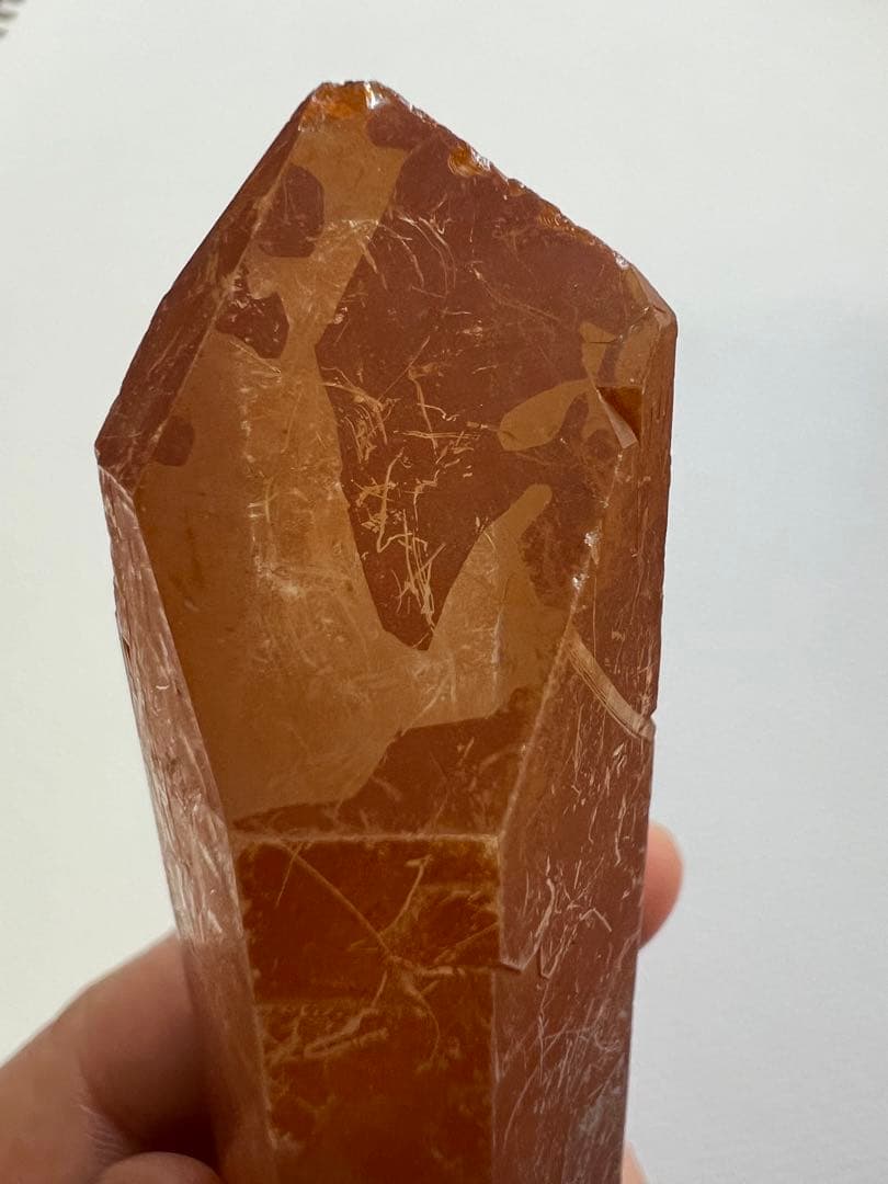 ゴールデンヒーラー(セーラデカブラル産)ゲート／スターゲートキークリスタル！