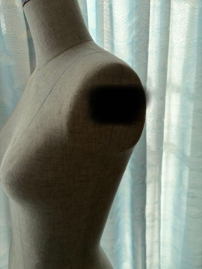 文化学園大学 ボディ