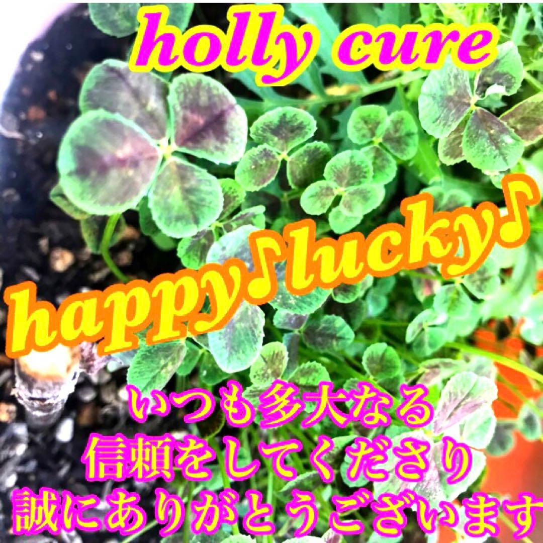 秘符(さくら)怨敵退散　災難除け　愛　恋愛　相思相愛　護符　霊符　お守り