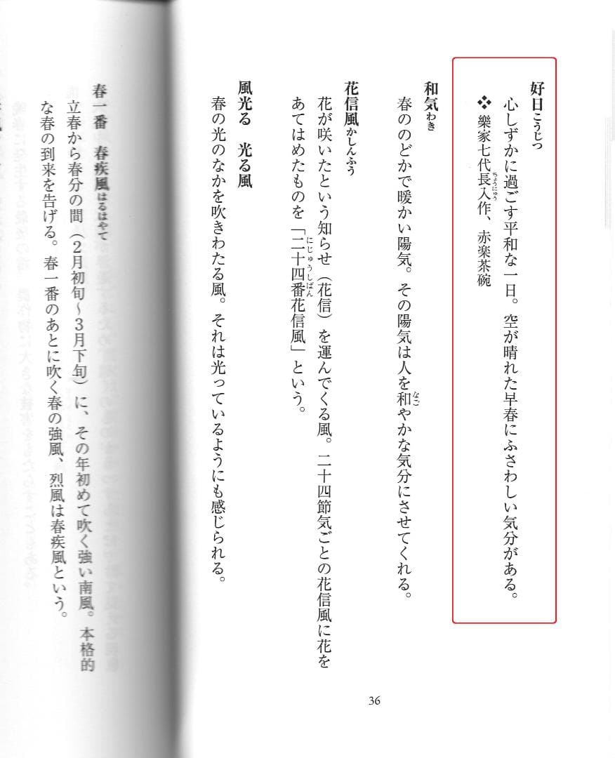 大徳寺511世管長 立花大亀造『竹茶杓』銘：好日（こうじつ）共箱・共筒
