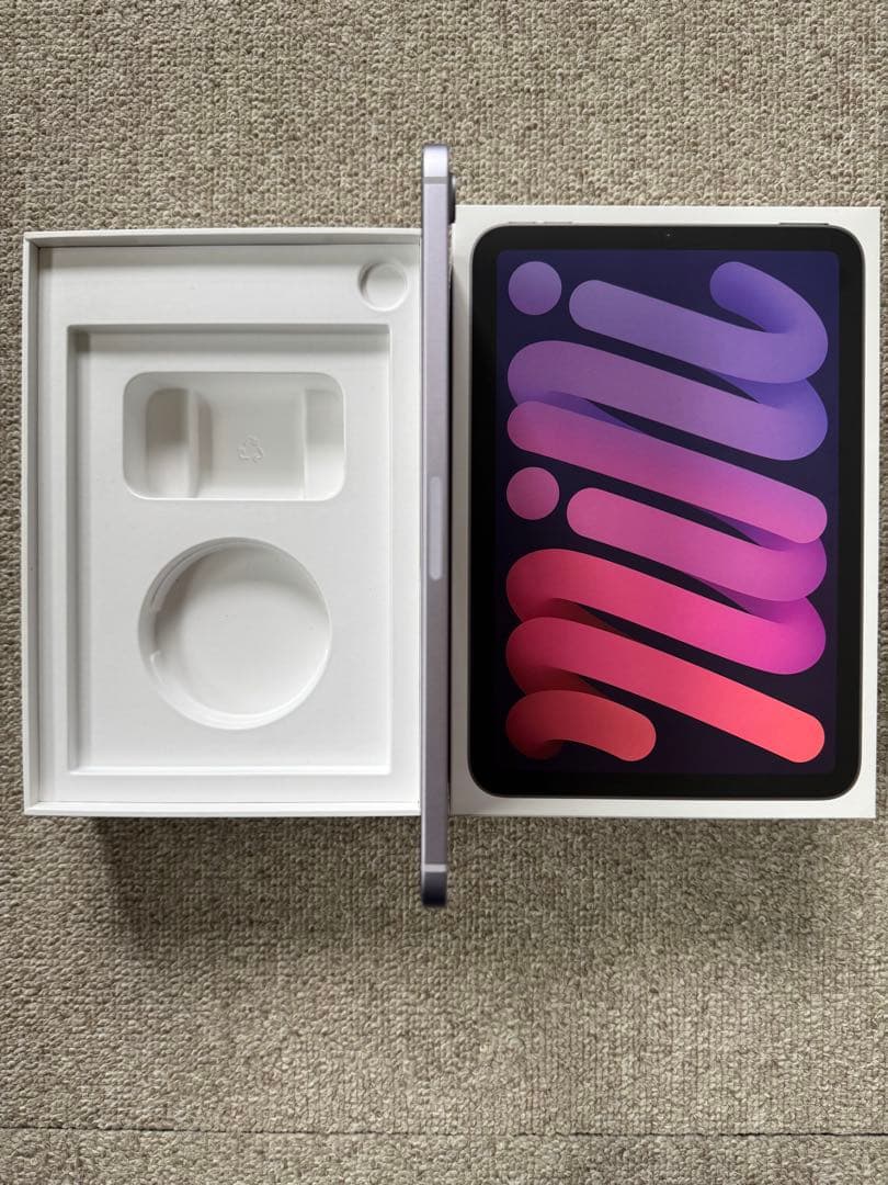 iPad本体 iPad mini A17 Pro iPad mini7 cellular