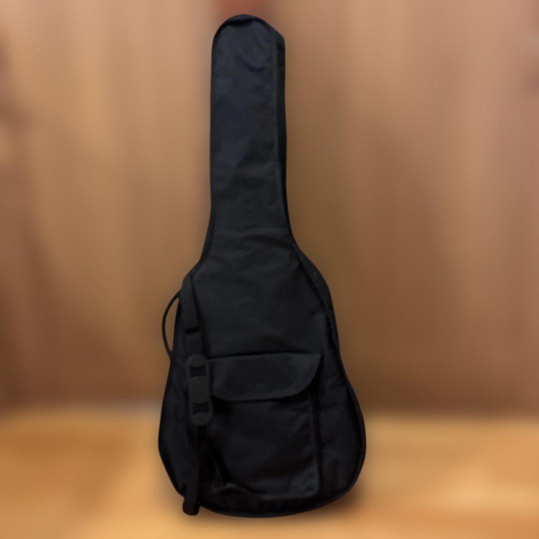 Ibanez エレアコ ソフトケース付 新品弦張替済