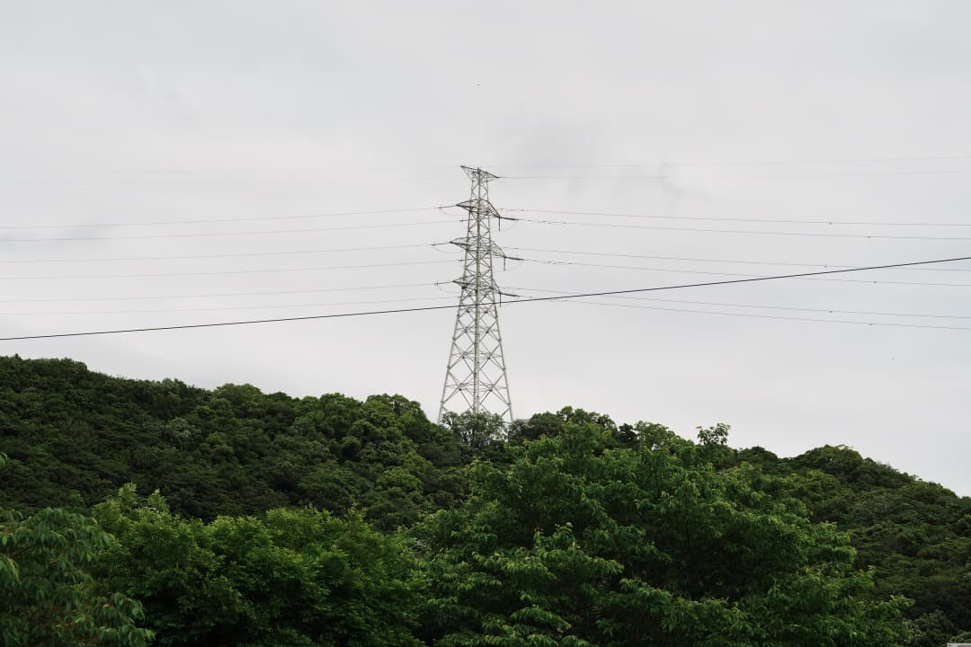 【神レンズ】オリンパス Zuiko auto macro 90mm F2 428