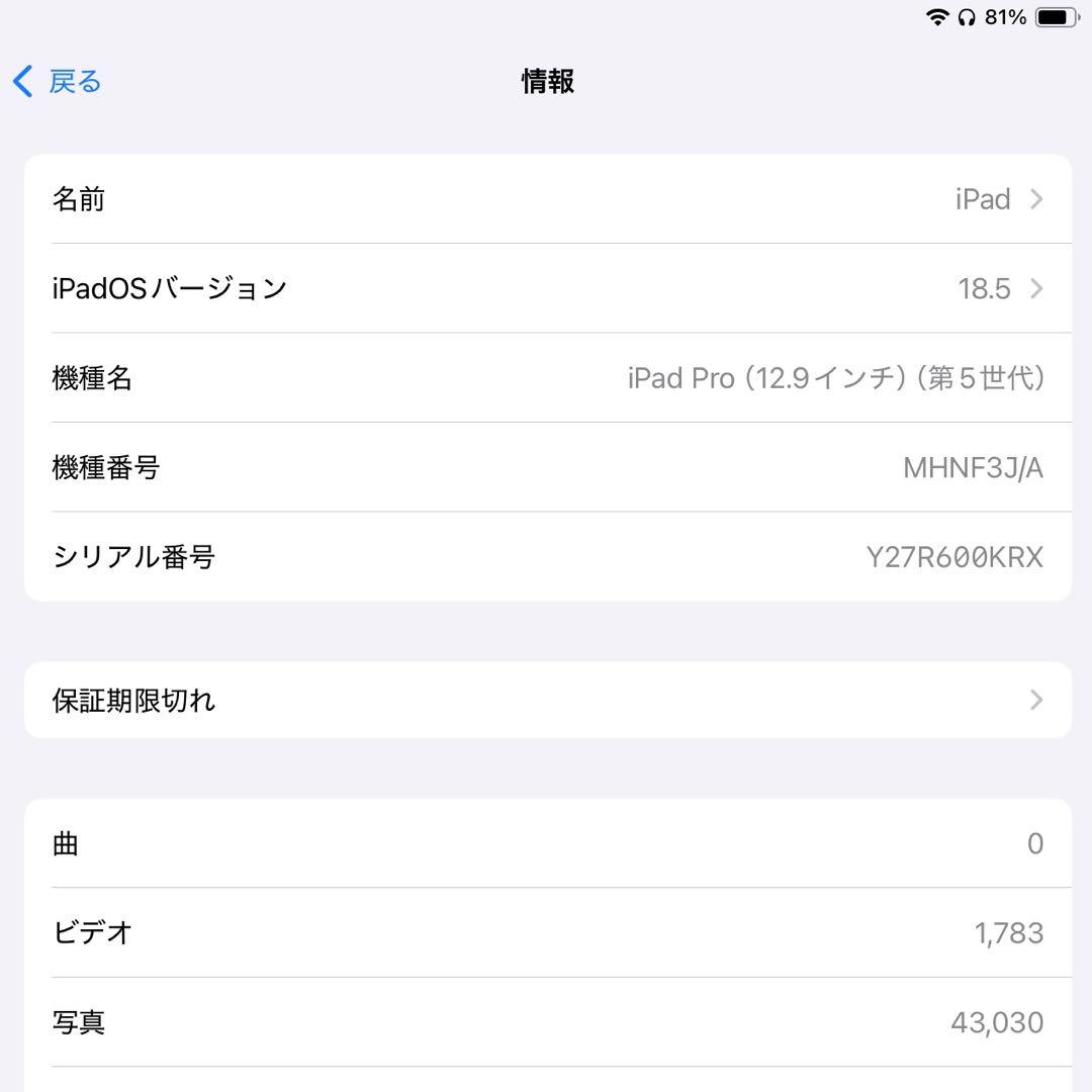 【美品】iPad Pro 12.9 第5世代 Wi-Fiモデル