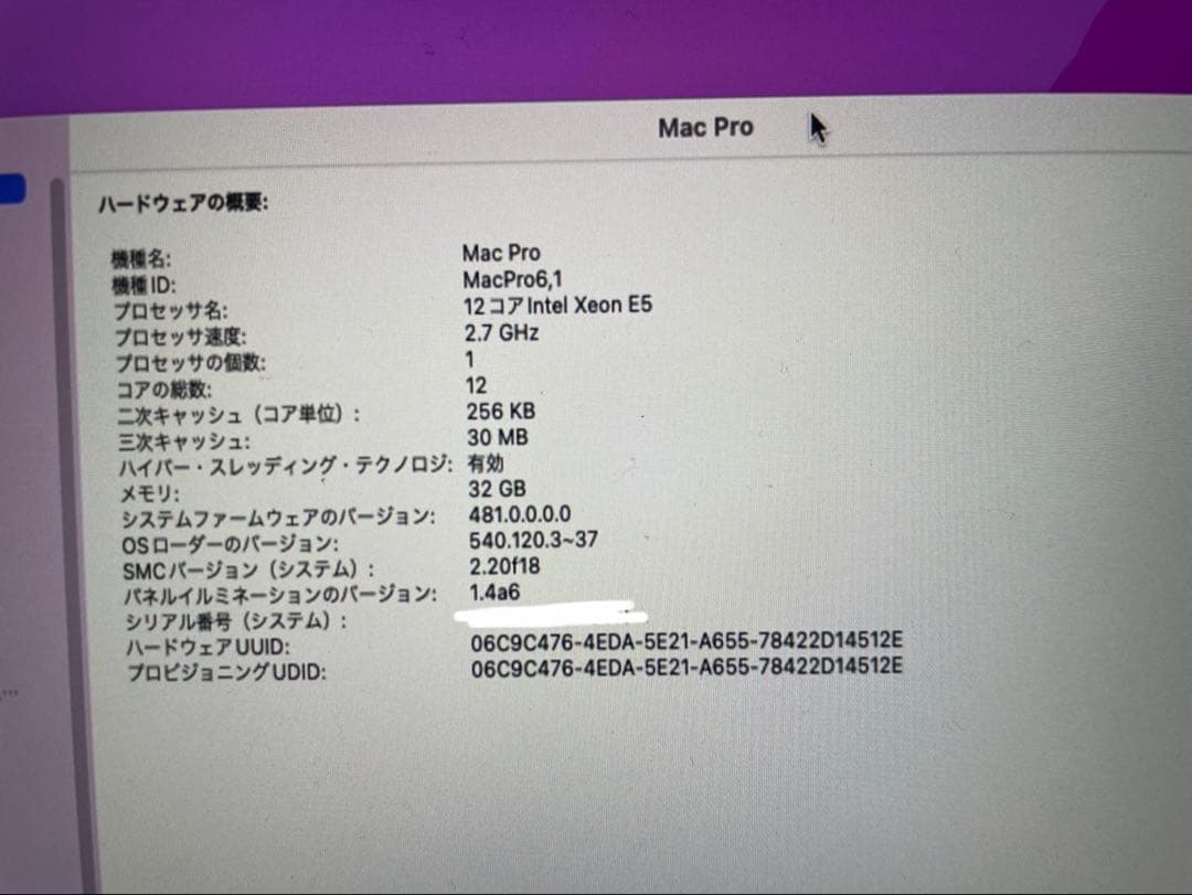 MacPro 2013 12コア 32G 1TB + CalDigit TS2