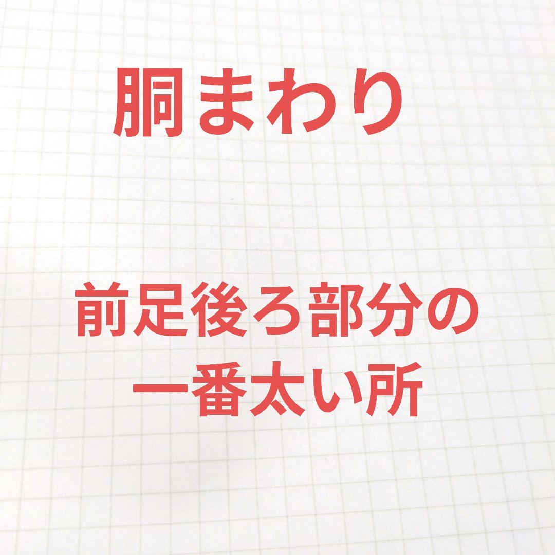 測定箇所の説明