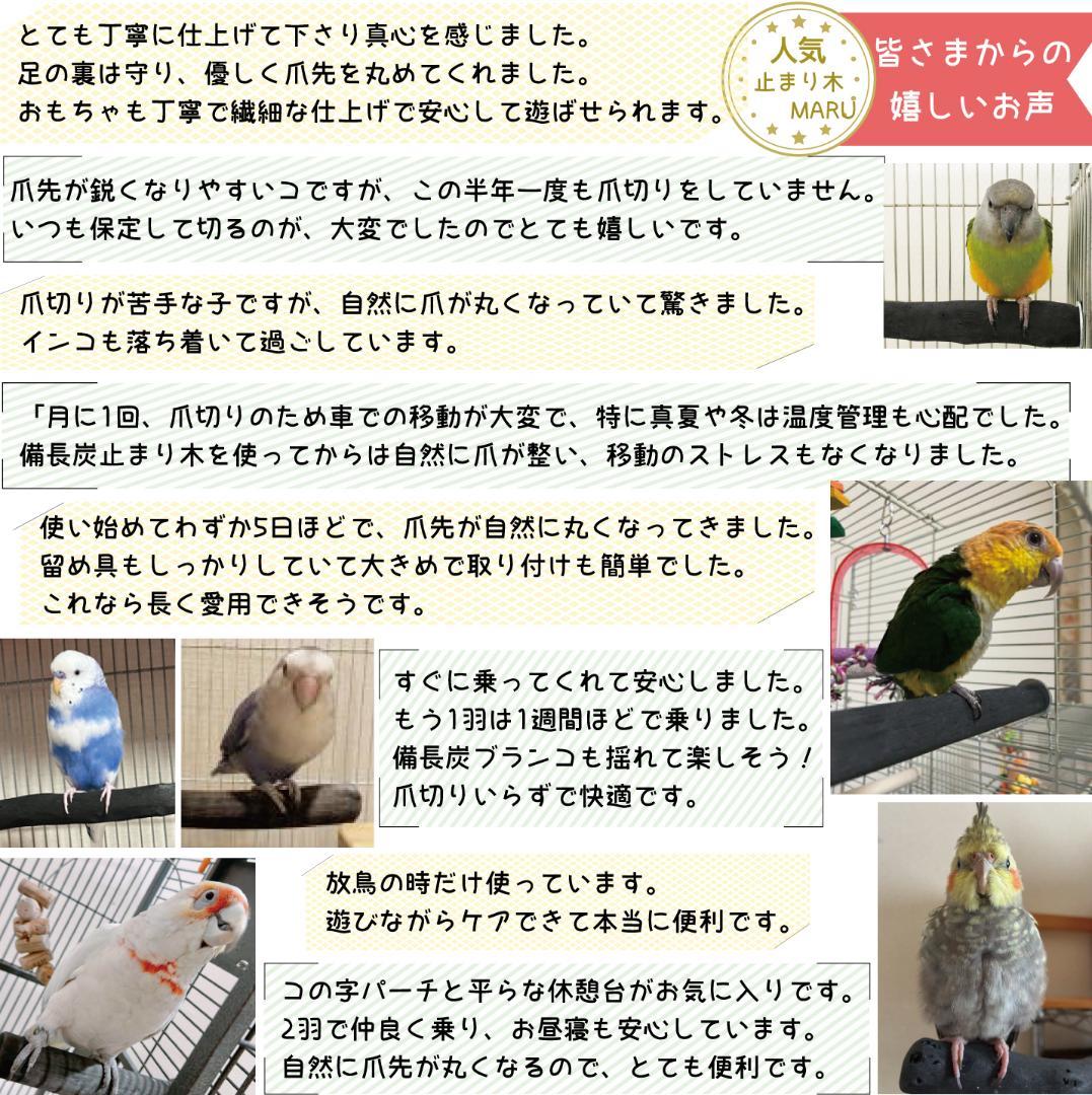 その他 Cocoa