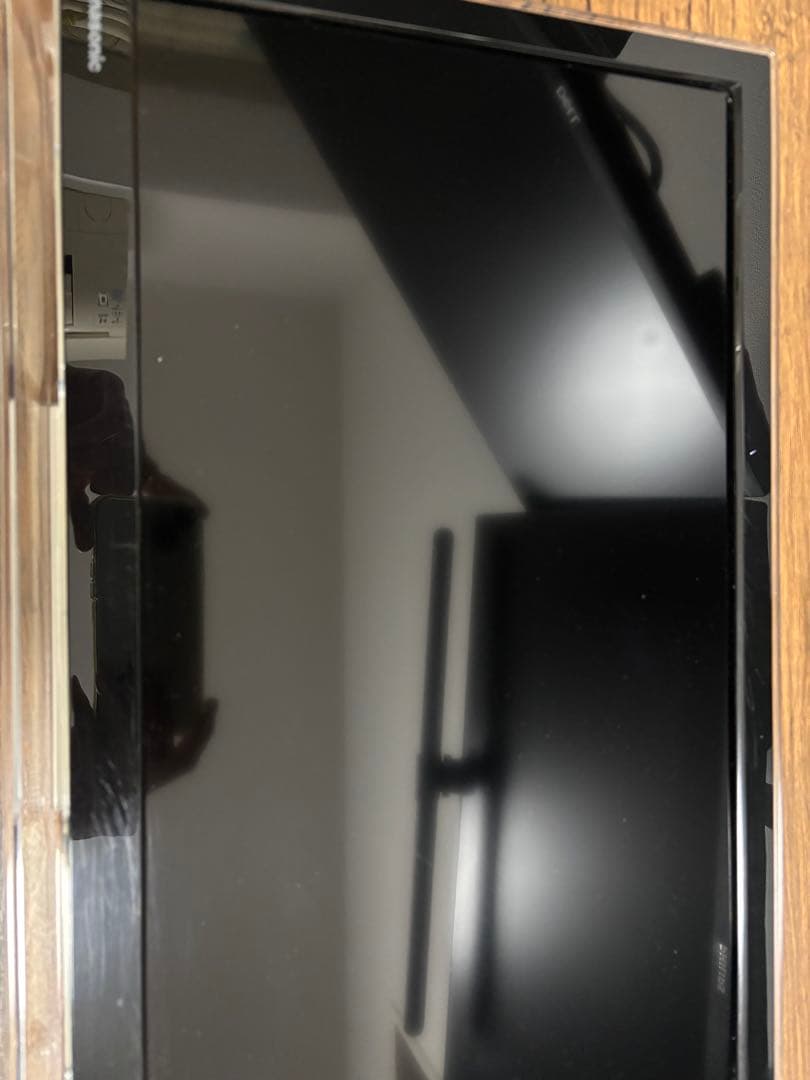 Panasonic パナソニック ポータブルテレビ UN-19F ビエラ おまけ