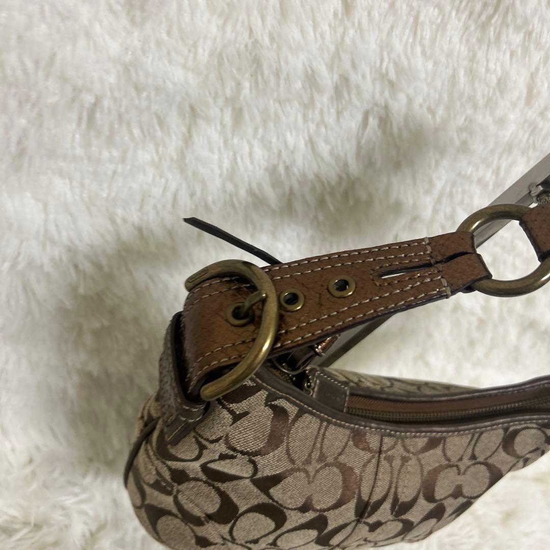 【極美品】COACH ワンショルダー シグネチャー パイソンショルダー