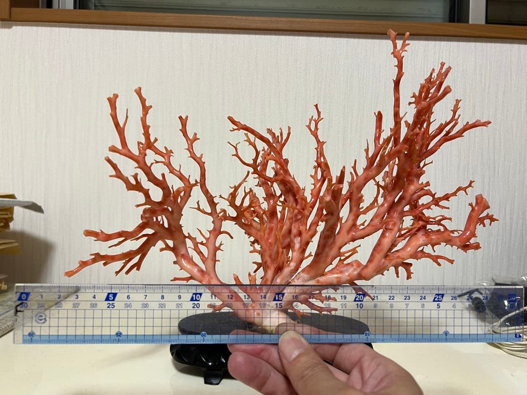 天然深海赤珊瑚　ピンク珊瑚 枝珊瑚　置物 宝石　原木　sango サンゴ　希少