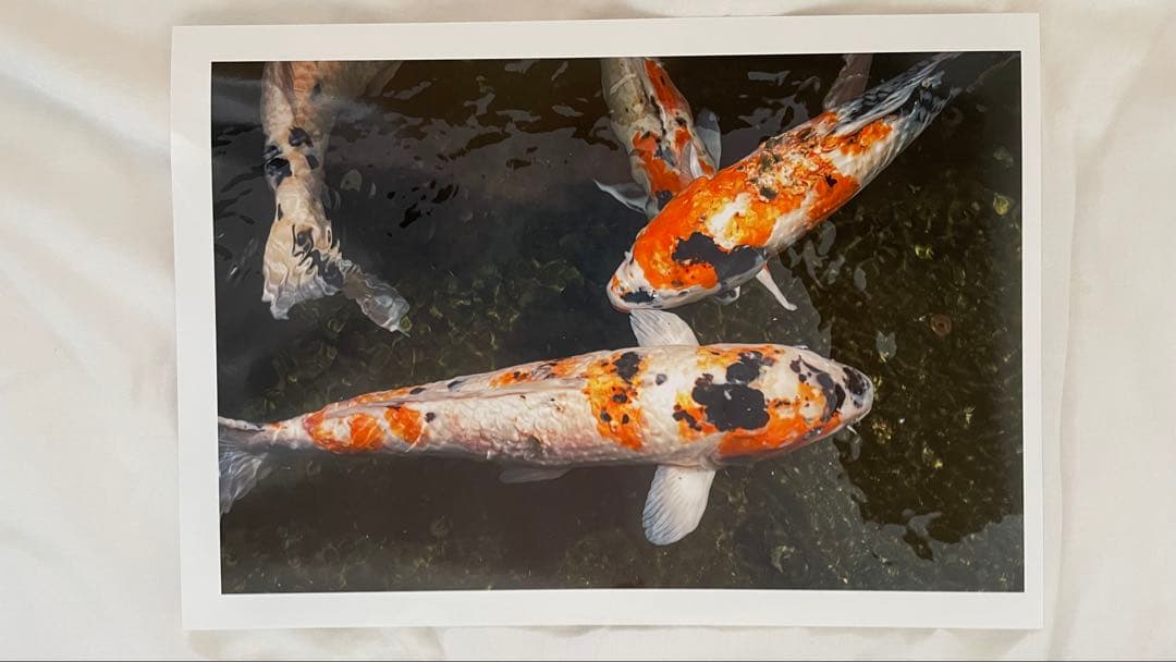 プリンター・複合機 Canon PRO-G1