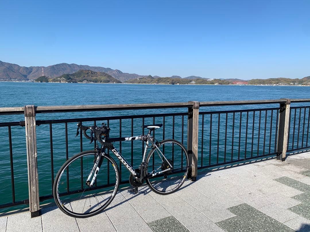 Cannondale CAAD ロードバイク シルバー/ブラック