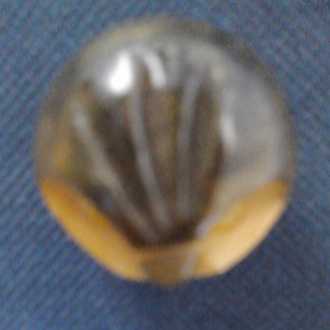 ♥️♥️珍しい！小さなフクロウ③