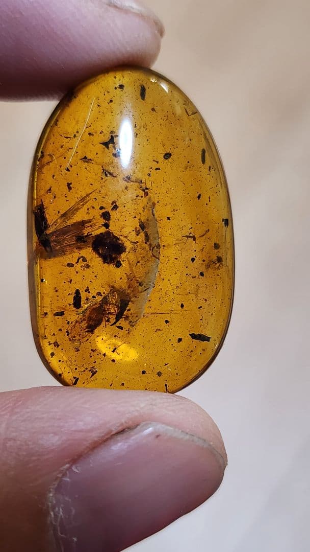 アンバー　琥珀のコレクション ダイヤモンド型フレーム付き