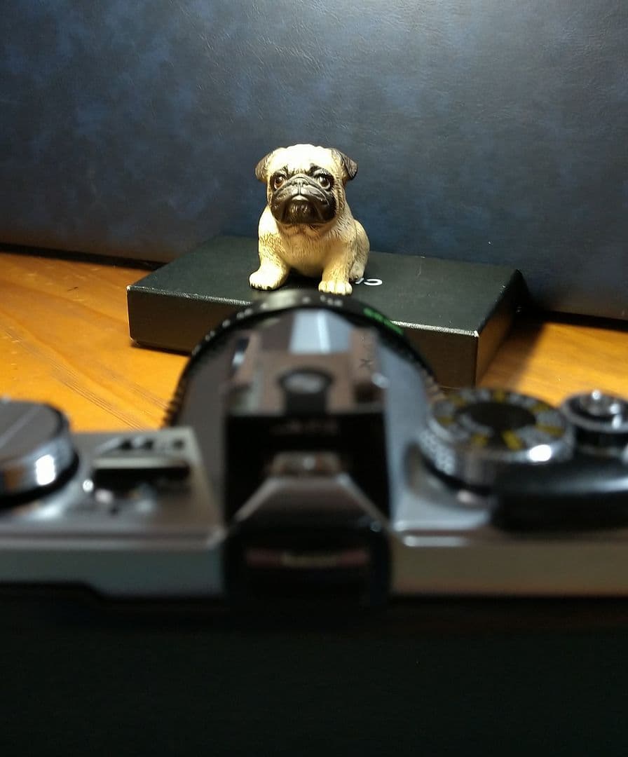 稼働品！オリンパス M-1 フィルム カメラ M-system 55㎜ f1.2