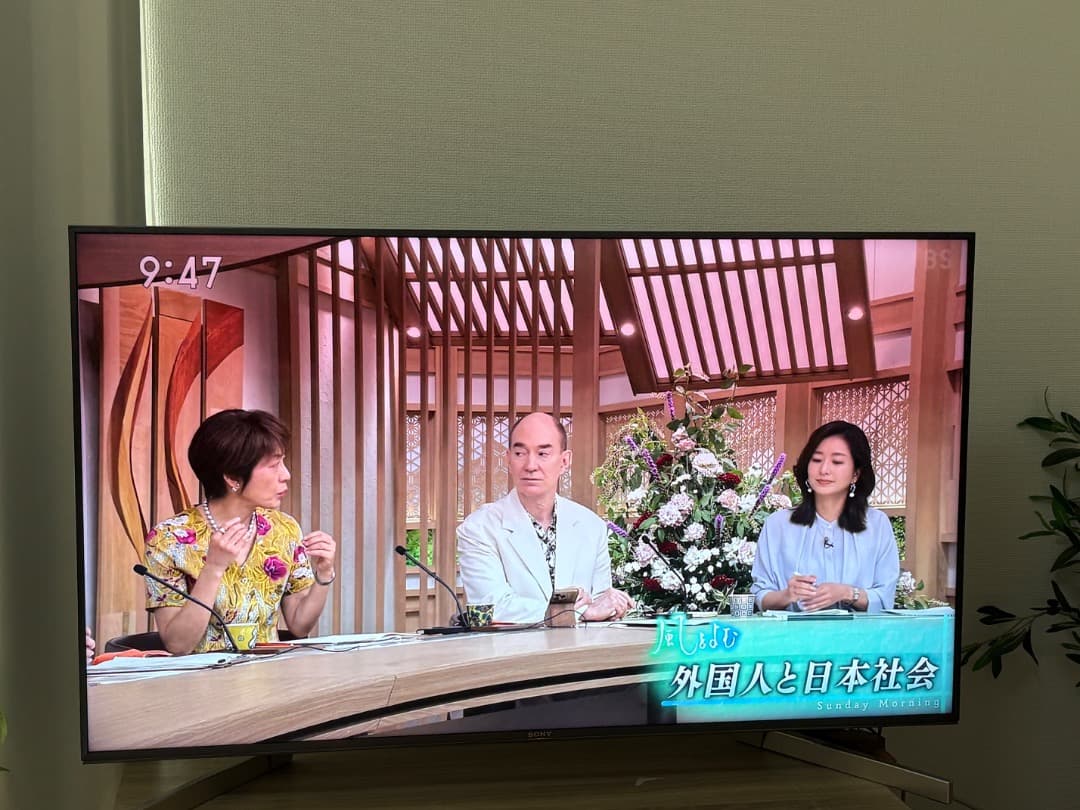 Sony Bravia 4K液晶テレビ KJ-49X9000F