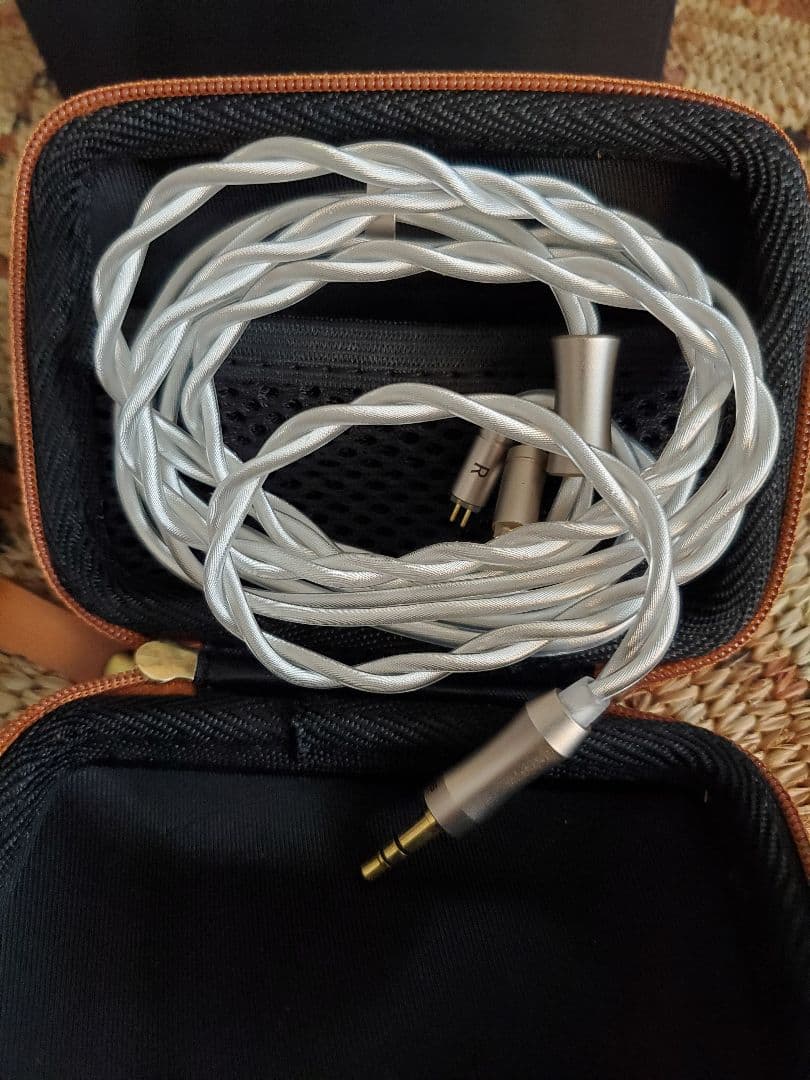 (ミサキさん専用)SIVGA QueとNICI 20のセット