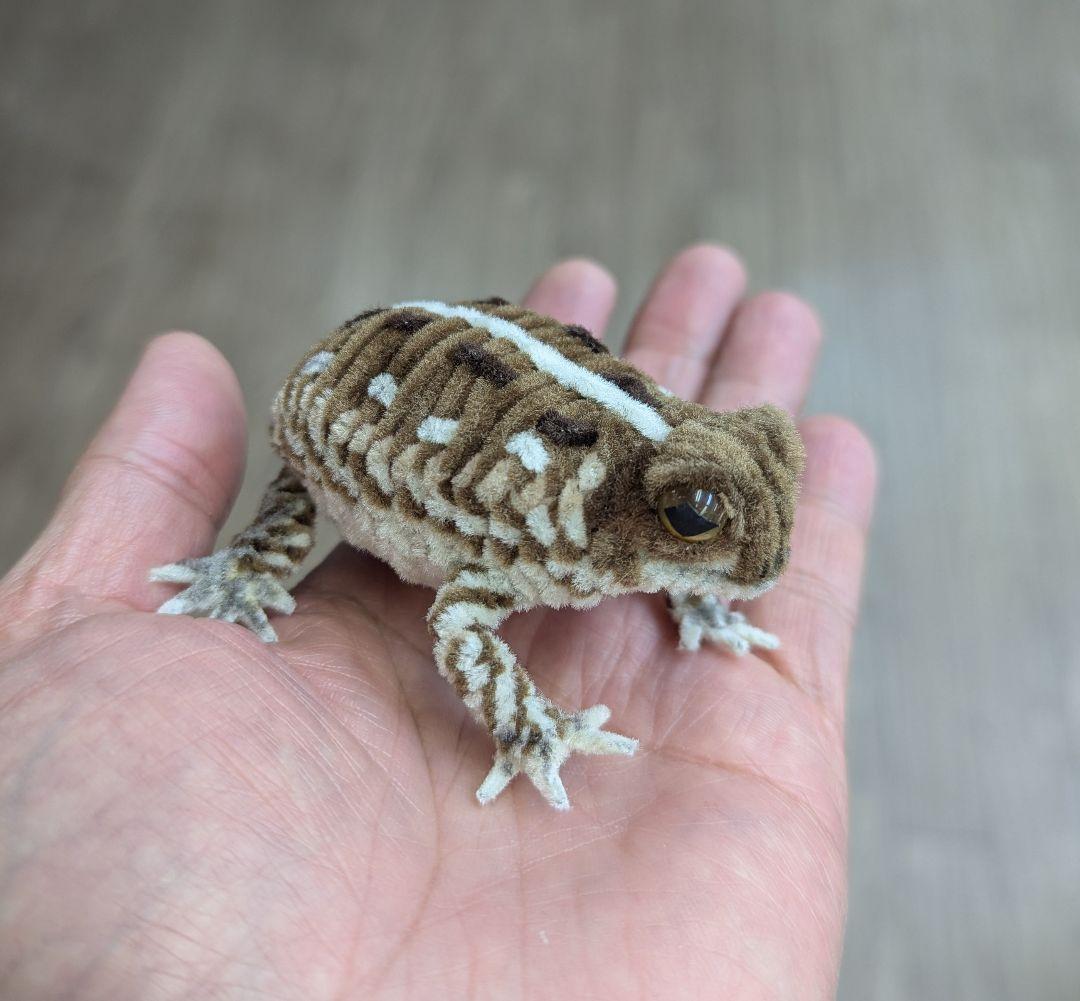 CoCo...オーダー作品モールのレオパ２、アメフクラガエル、ミヤコヒキ