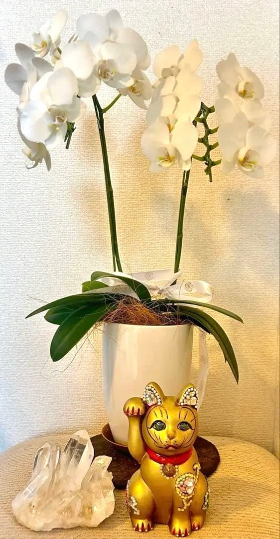 招き猫 デコ スワロフスキー風 金運 開運 商売繁盛 開店祝い　ホワイト