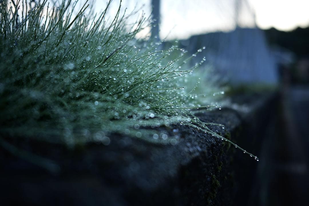 美品　SIGMA 45mm F2.8 DG Lマウント用　シルバー