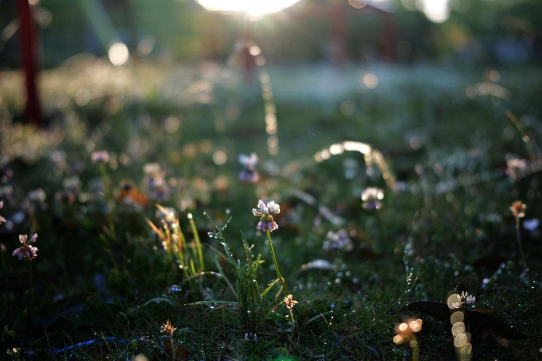 美品　SIGMA 45mm F2.8 DG Lマウント用　シルバー