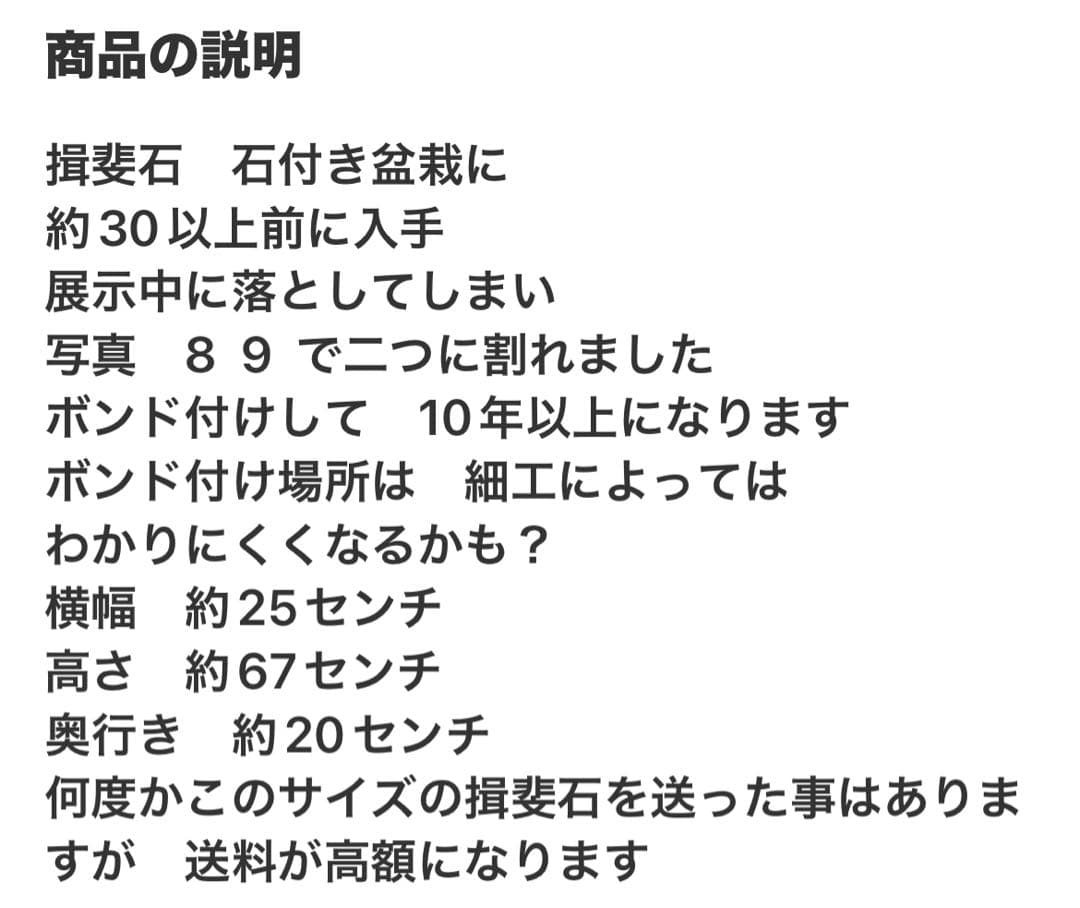揖斐立ち石　龍岩石？