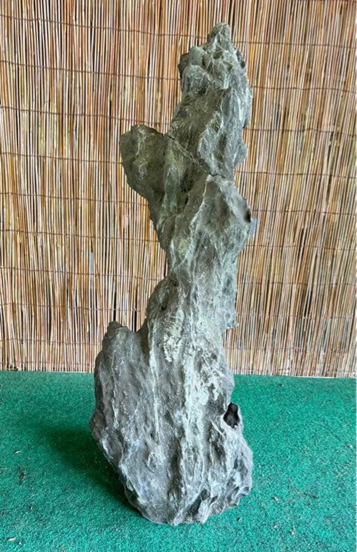 揖斐立ち石　龍岩石？