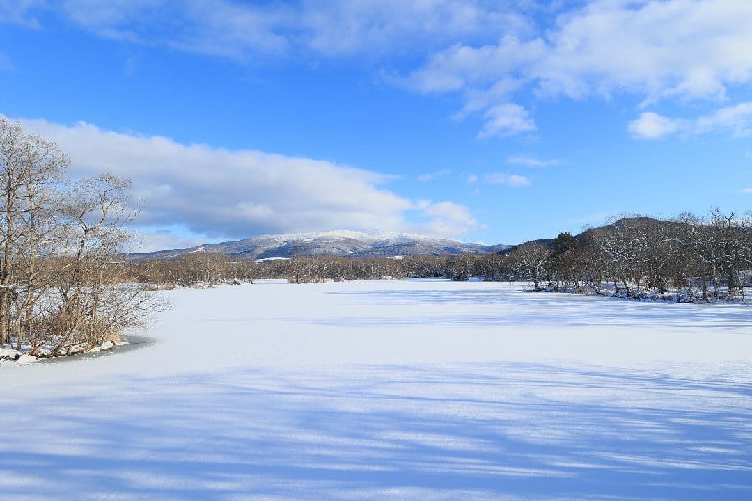 レンズ(単焦点) CANON EF 20mm F2.8 USM