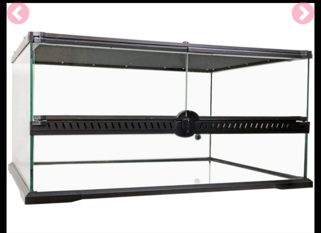 タロー出品　新品未使用！未開封！レインフォレストタンク L Low30