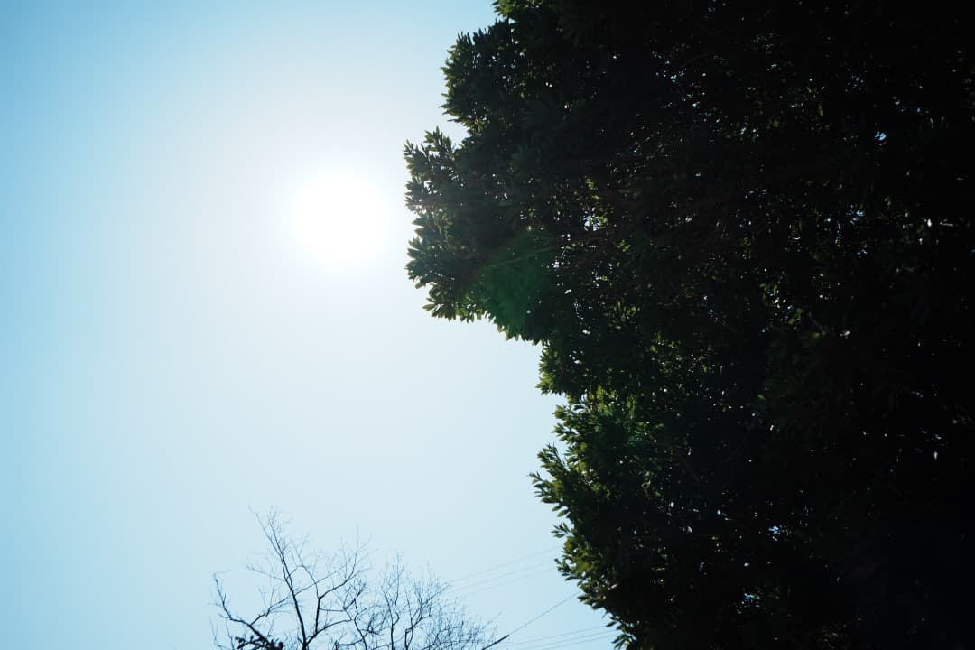 SEL16F28 + VCL-ECU2 超広角レンズセット α6000対応