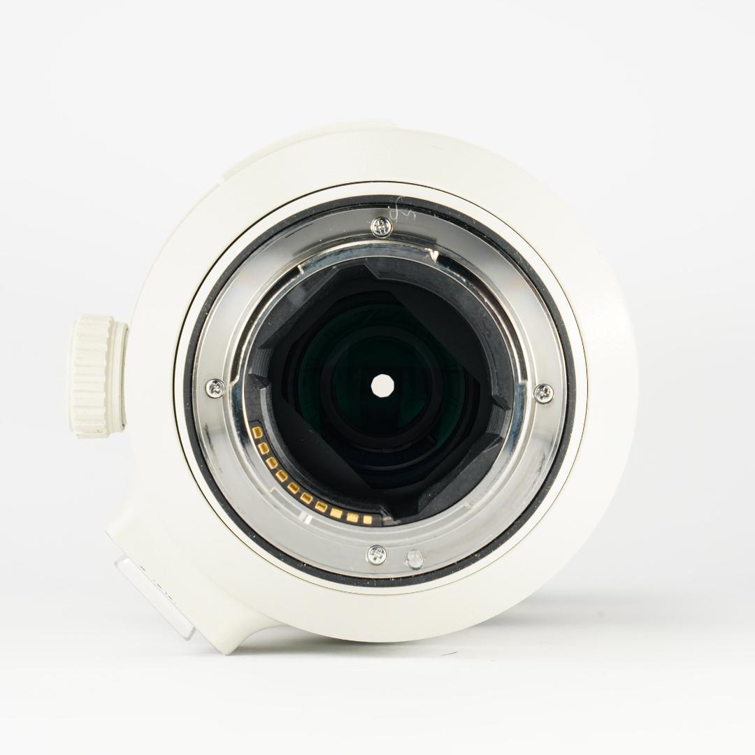 プロ愛用｜SONY SEL100400GM 家族の最高の瞬間を逃さない 398