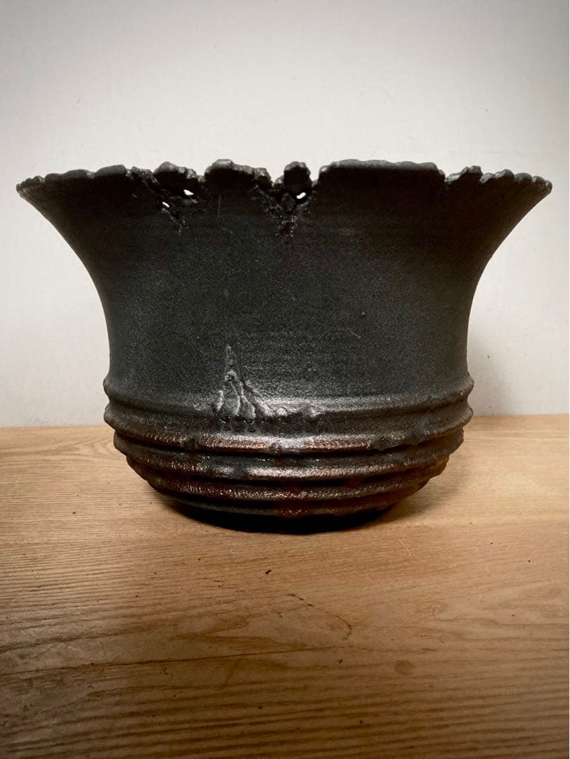 CJ plants × 4C studio コラボ鉢　XXXL