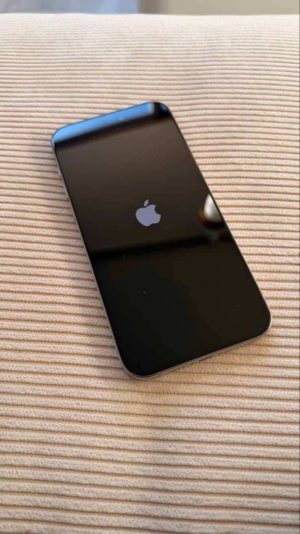 Apple iPhone 15Pro MAX 256GB SIMフリー