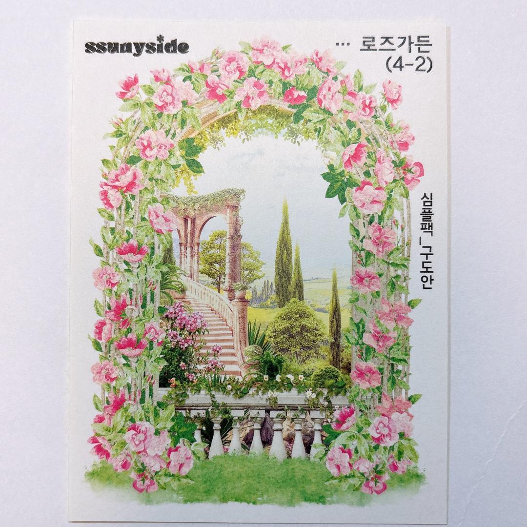 S233.装飾ステッカー　韓国作家　ssunyside(黒いたぬき)　バラ売り〇