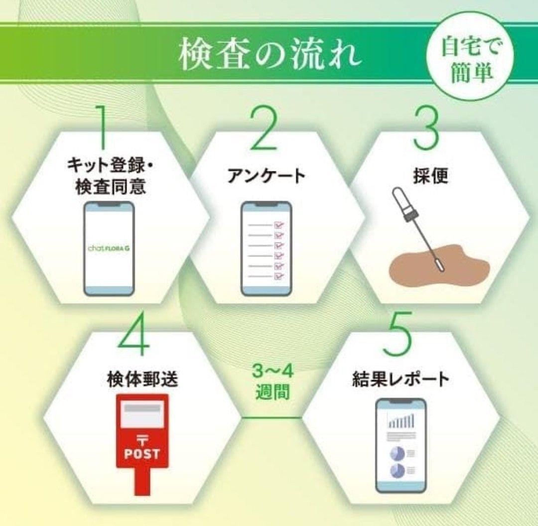 chat FLORA G 腸内フローラ検査キット　新品未開封品