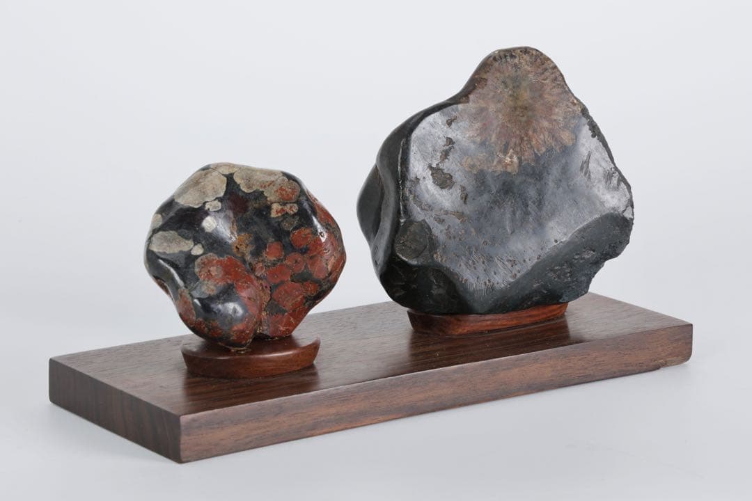 根尾川産 菊花石 二石組 台座 共箱付 鑑賞石 原石 天然石 盆石 飾石 美術品