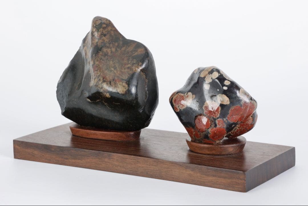 根尾川産 菊花石 二石組 台座 共箱付 鑑賞石 原石 天然石 盆石 飾石 美術品