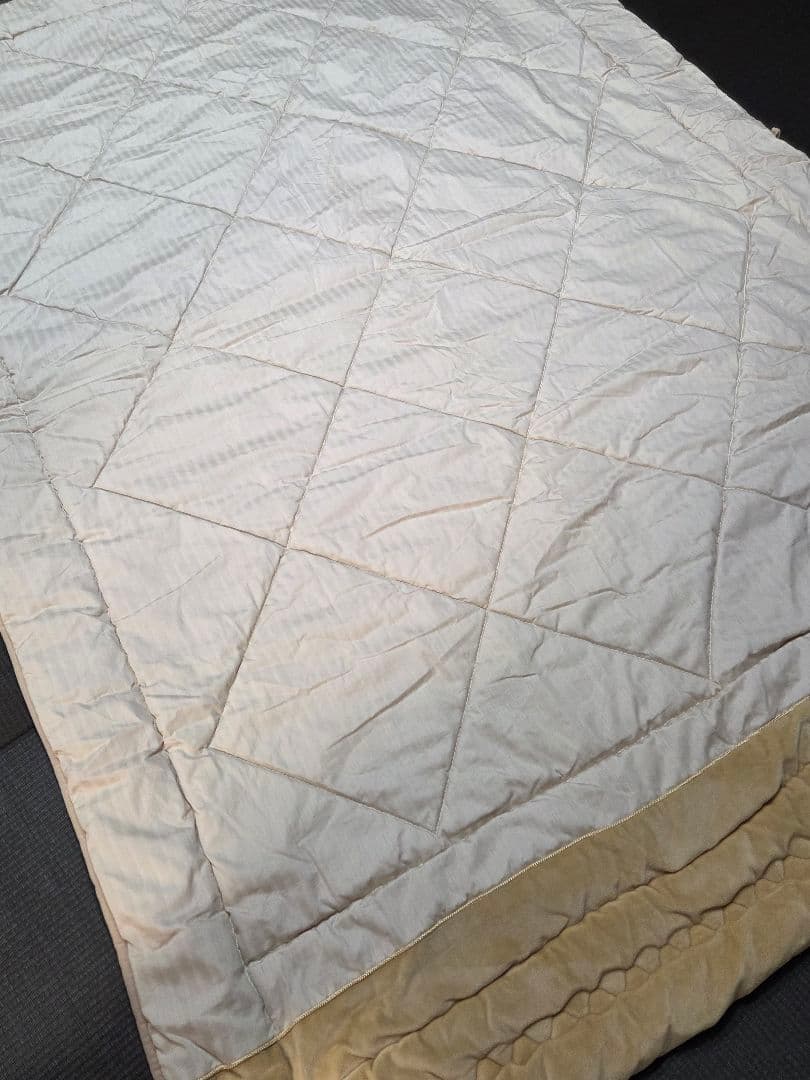 プラチナウエーブ　シングルサイズ 掛け布団 ベージュ