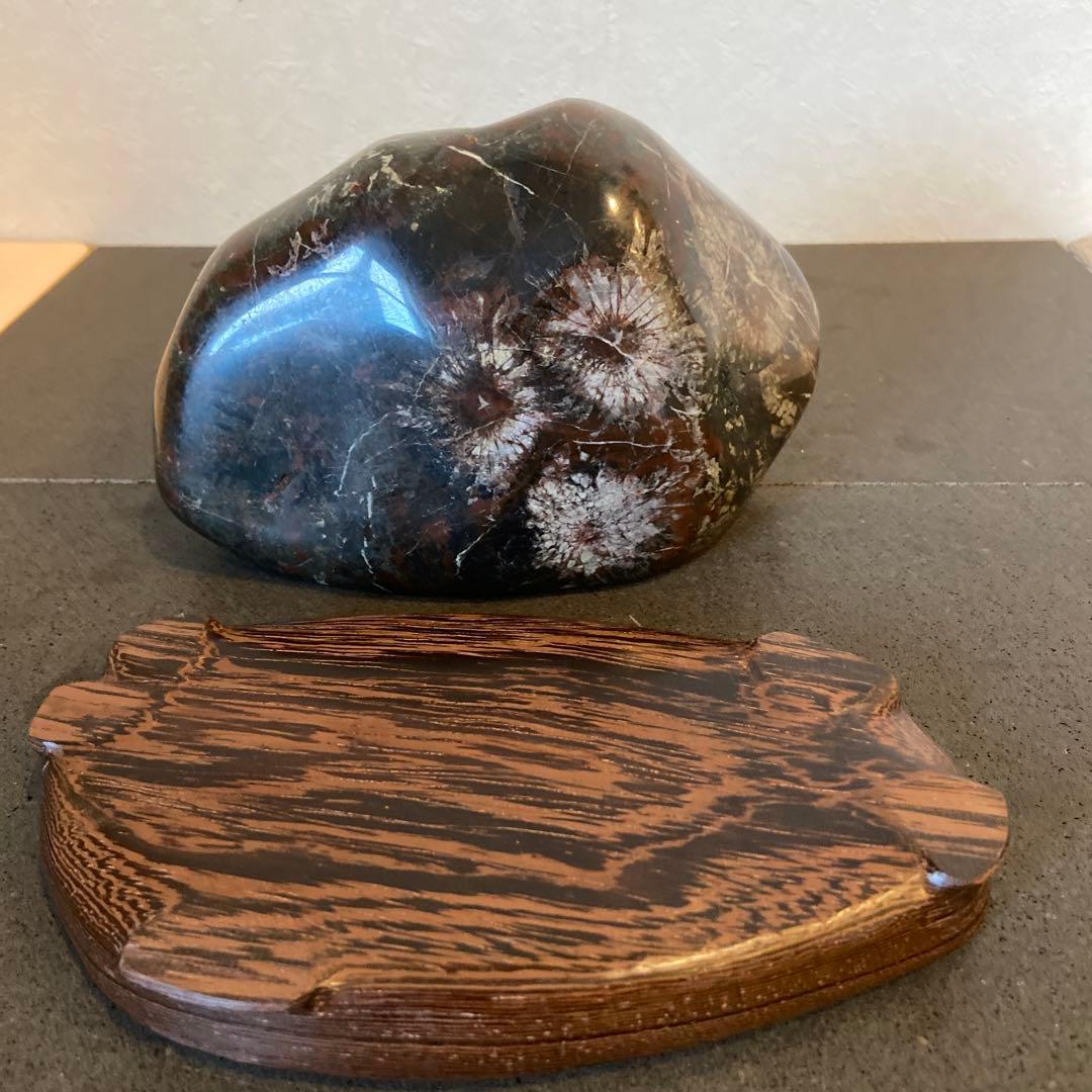 菊花石　★ 鑑賞石　菊花石　水石