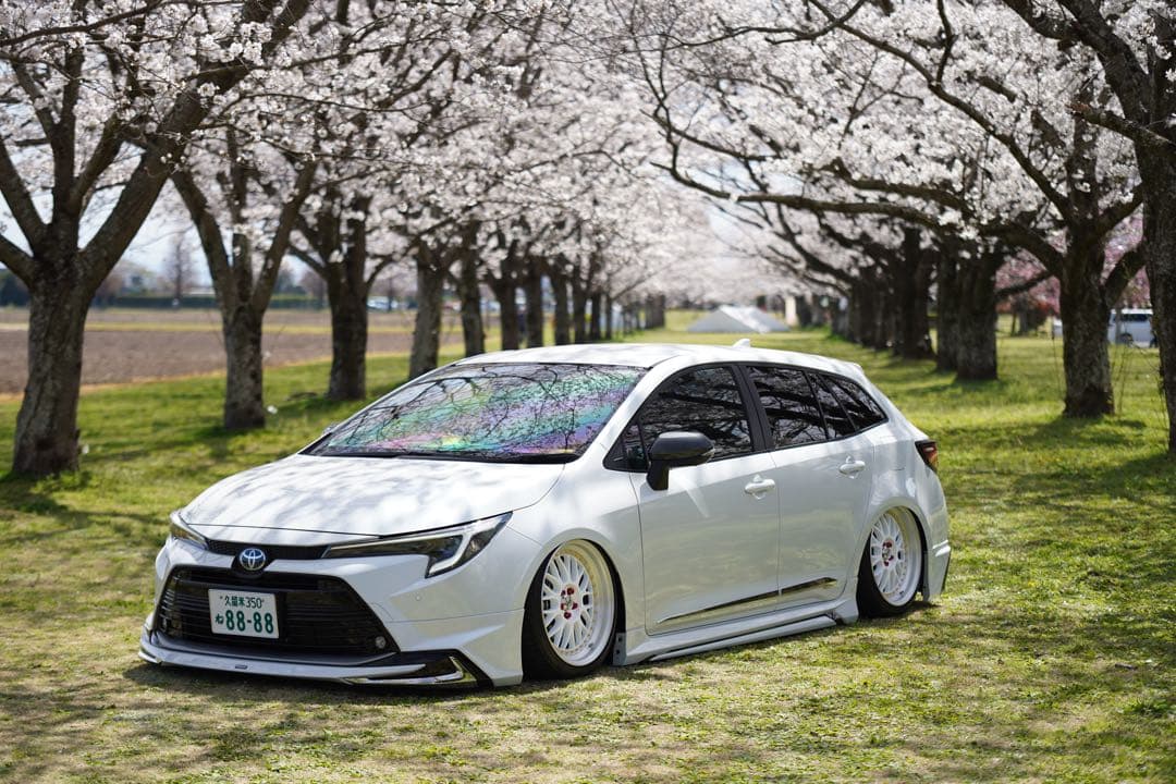 トヨタカローラツーリングハイブリッド219 エアサス　リア脚のみ50プリウスにも