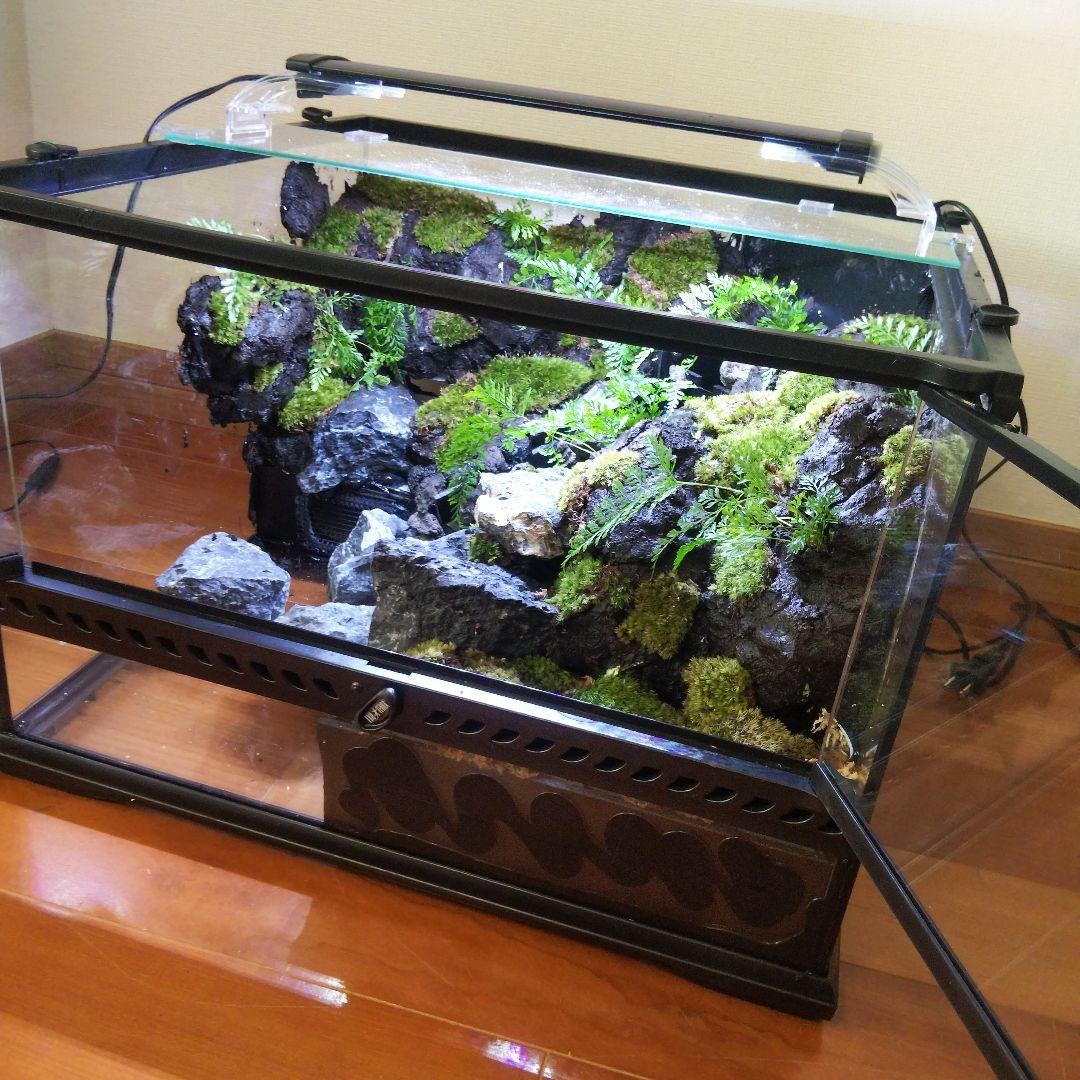 【受注生産】滝のあるアクアテラリウム　グラステラリウム 4530イモリウム
