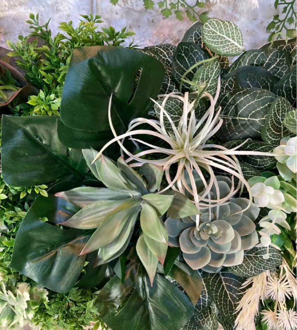 光触媒　人工観葉植物　ウォールグリーン　フェイクグリーン　壁掛け70208443