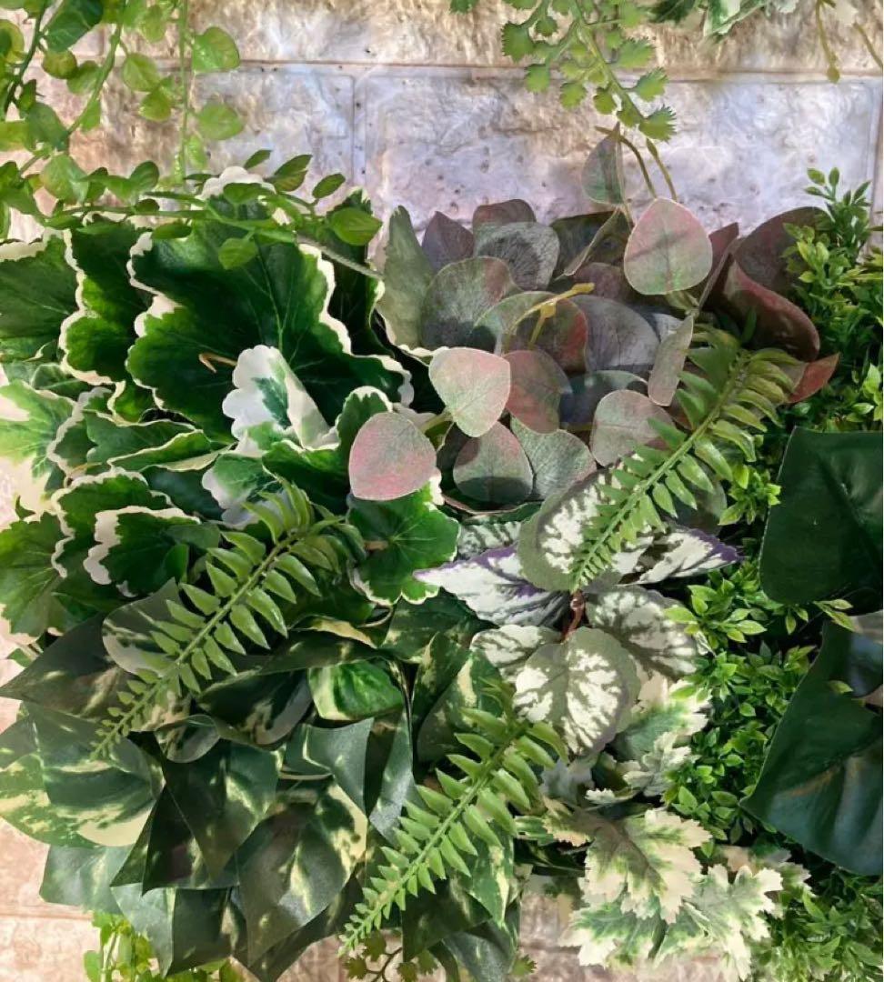 光触媒　人工観葉植物　ウォールグリーン　フェイクグリーン　壁掛け70208443