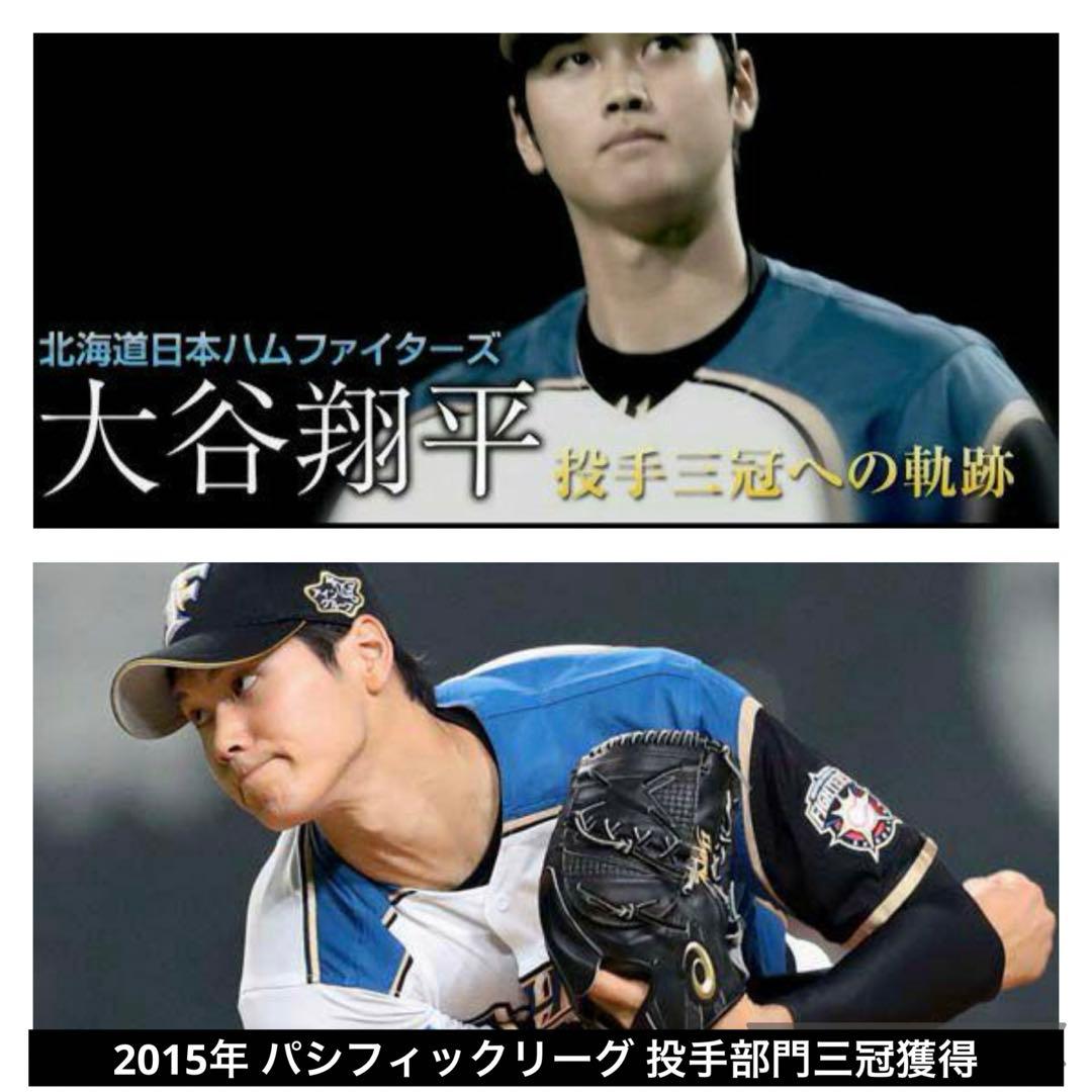 【希少】大谷翔平 2015年 パシフィックリーグ 投手部門三冠　記念ボールセット