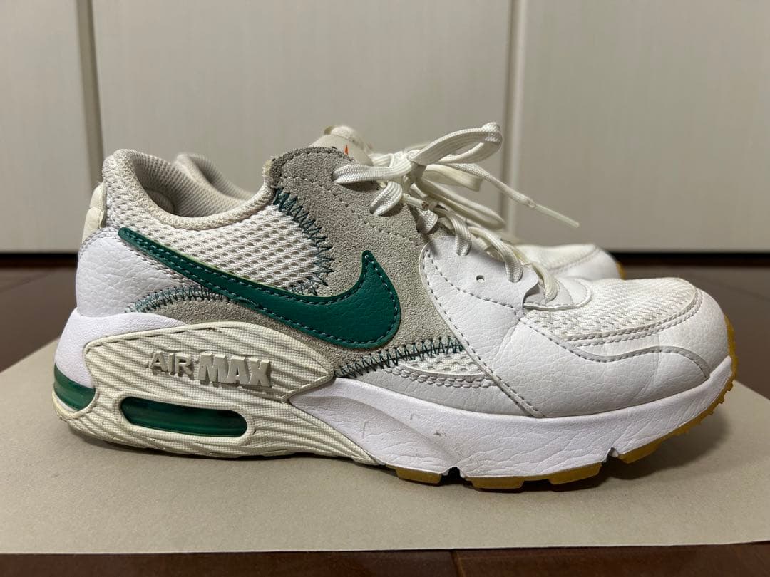 シューズ NIKE WMNS AIR MAX EXCEE DJ2003-100