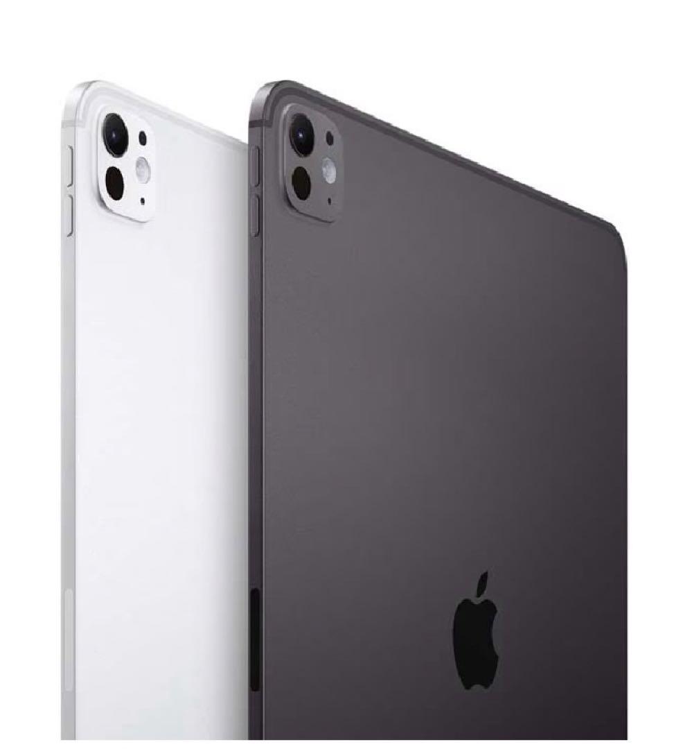 iPad Pro 第5世代 M4 256GB 11インチ 未使用品 d4834