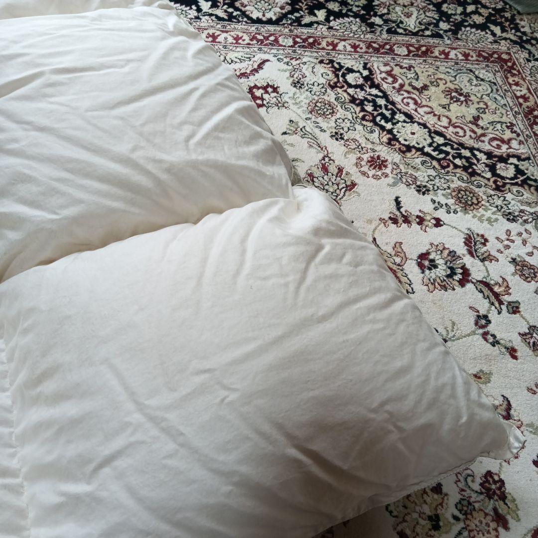 れ*ゆ様 高品質 希少 手摘みホワイトグース 羽毛 西川 掛け布団 花柄 ハンガ