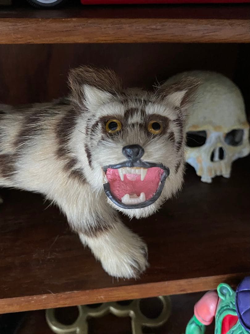 虎 タイガー 剥製 置物 ロカビリー tattoo ホットロッド クリームソーダ