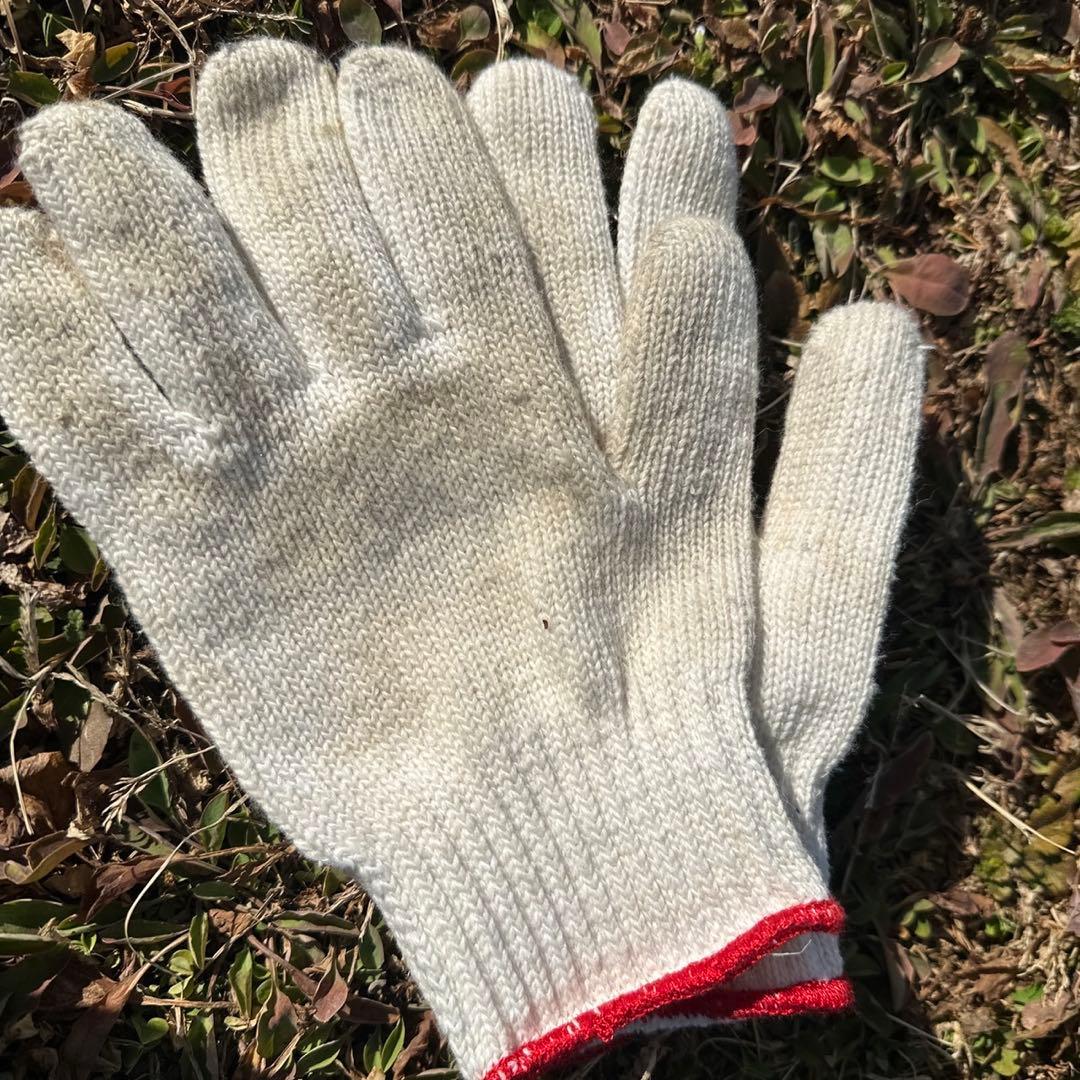 クリーム色 コットン混紡軍手 赤いリブ付き　マパ