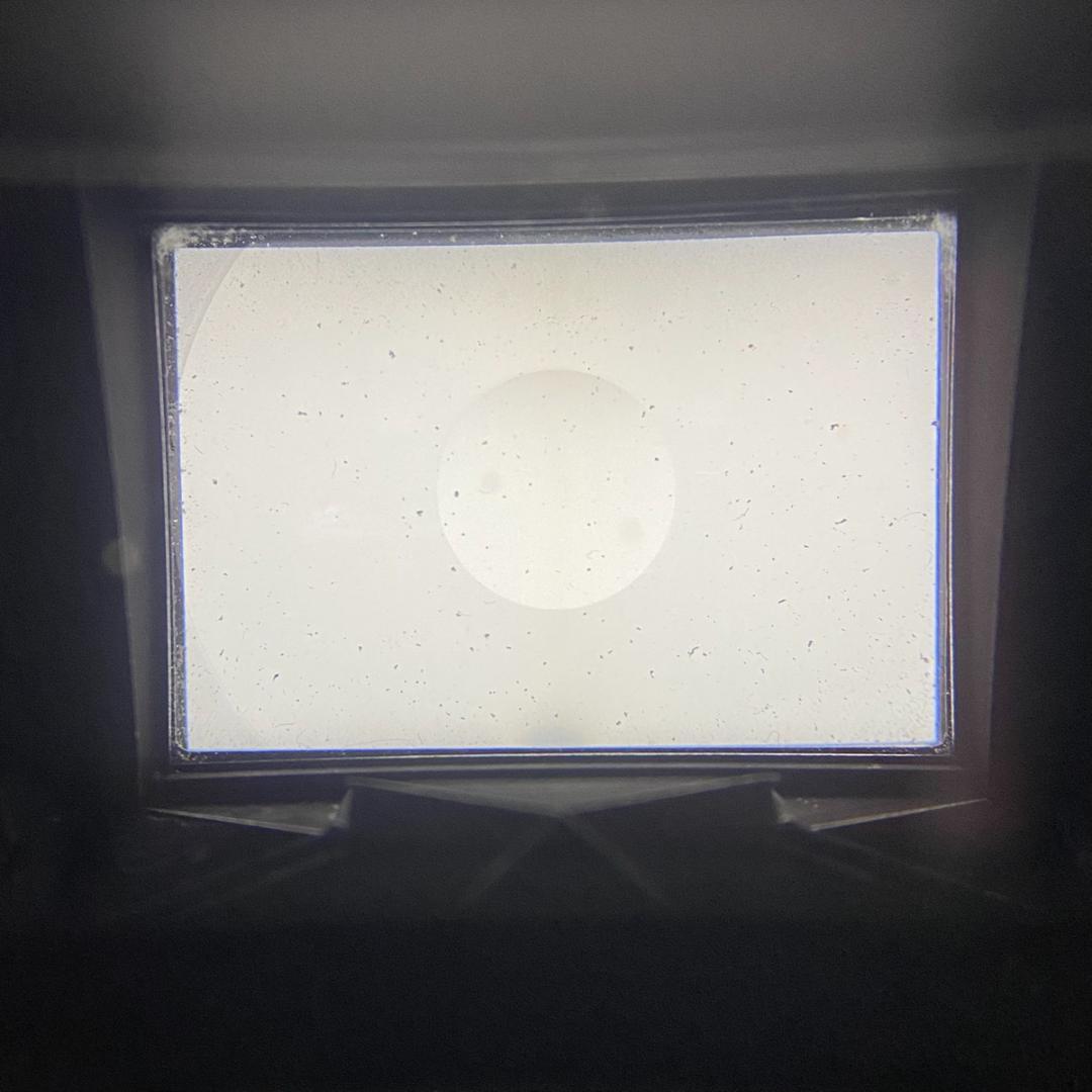 【C6678】Nikon ニコン F（本体のみ）前期 フイルムカメラ